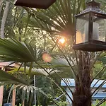 La Pura Vida - Glamping *