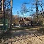 La Pura Vida - Glamping Camping *