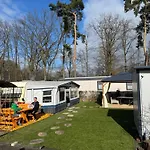 La Pura Vida - Glamping *