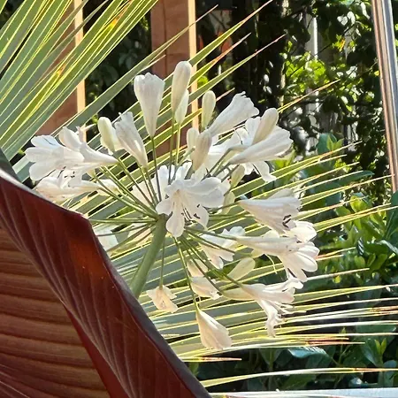 مكان تخييم La Pura Vida - Glamping *