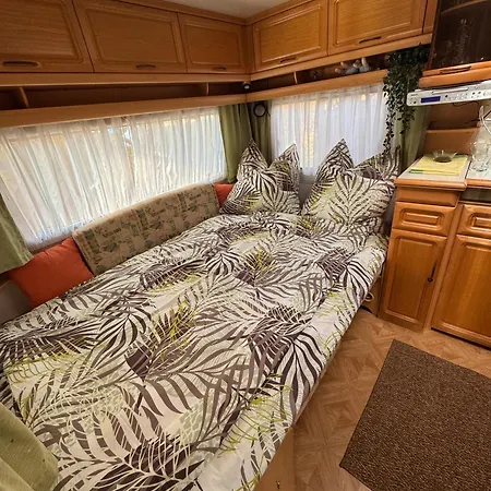 مكان تخييم La Pura Vida - Glamping