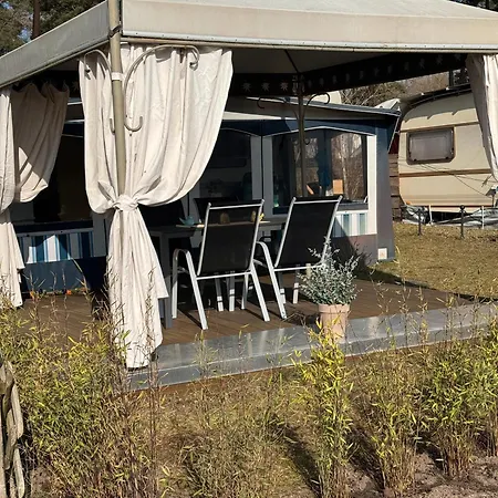 キャンプ場 La Pura Vida - Glamping *