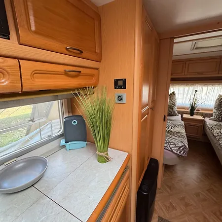 La Pura Vida - Glamping مكان تخييم Brandenburg (Brandenburg an der Havel)