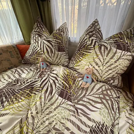 Κάμπινγκ La Pura Vida - Glamping *