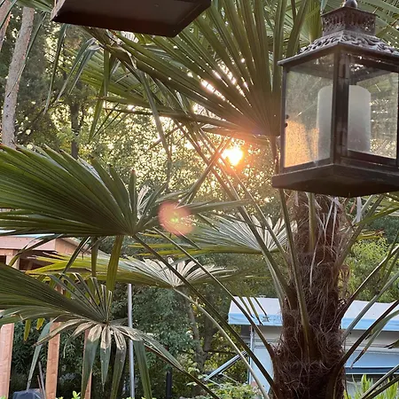 La Pura Vida - Glamping *