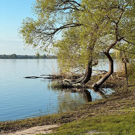 La Pura Vida - Glamping مكان تخييم