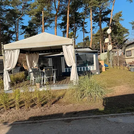 Campingplads La Pura Vida - Glamping