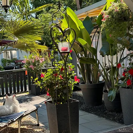 La Pura Vida - Glamping Κάμπινγκ Βραδεμβούργο