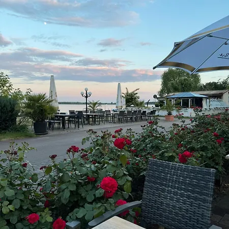 La Pura Vida - Glamping مكان تخييم *