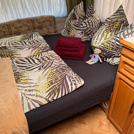 La Pura Vida - Glamping مكان تخييم *