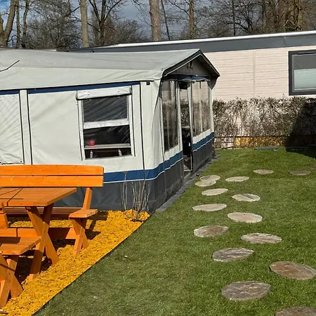 La Pura Vida - Glamping