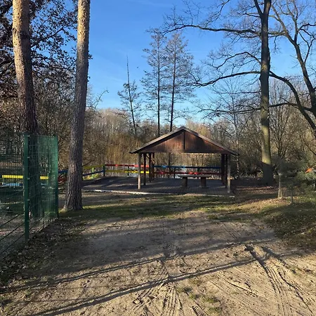 La Pura Vida - Glamping Camping