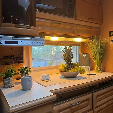 La Pura Vida - Glamping Camping *