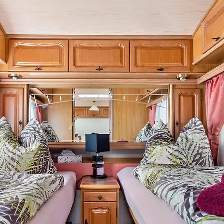 La Pura Vida - Glamping *