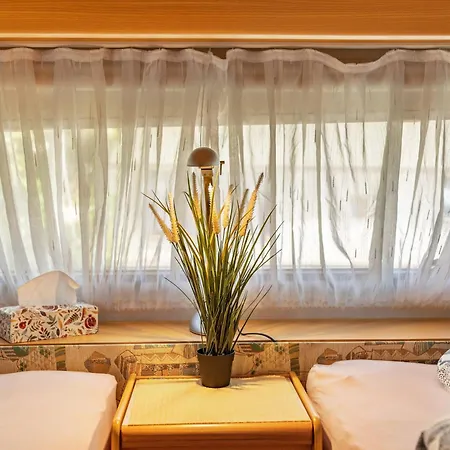 La Pura Vida - Glamping