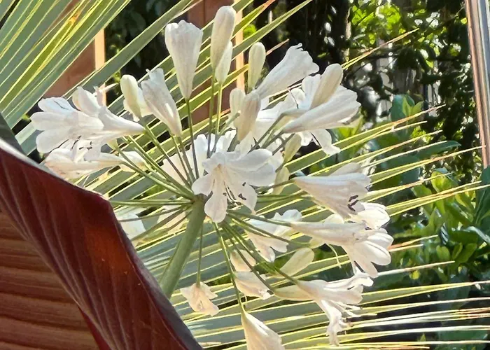 Camping La Pura Vida - Glamping *