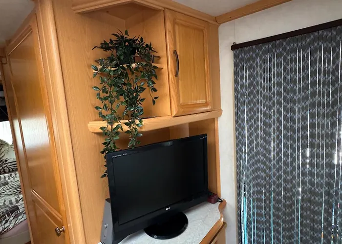 Camping La Pura Vida - Glamping *