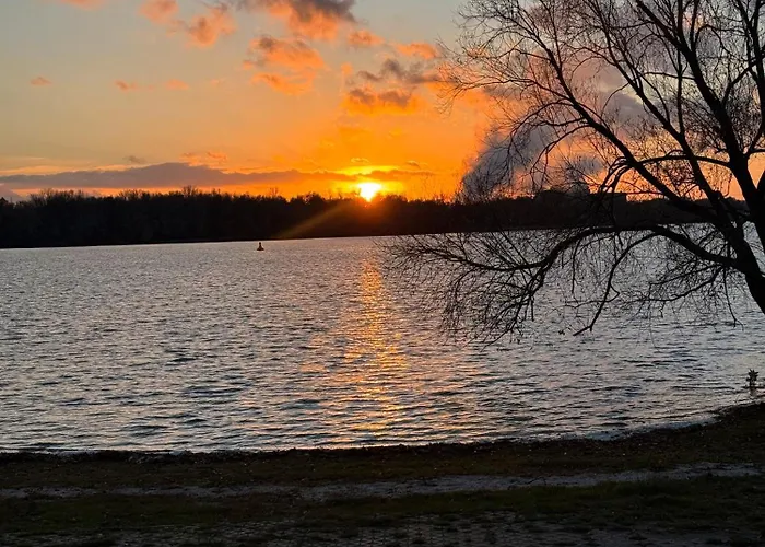 La Pura Vida - Glamping *