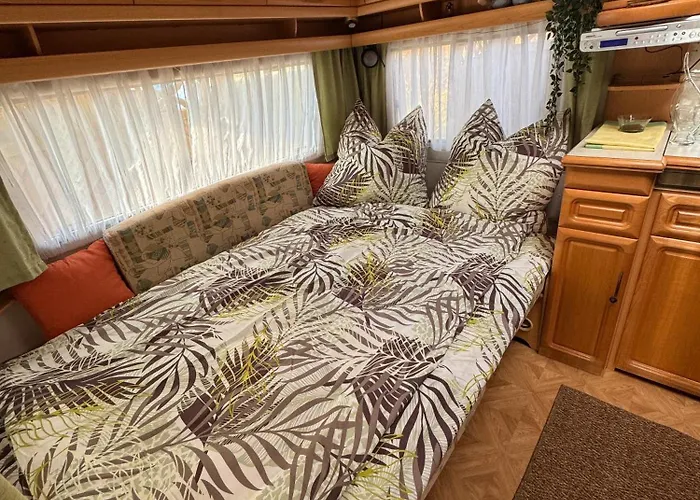 Camping La Pura Vida - Glamping