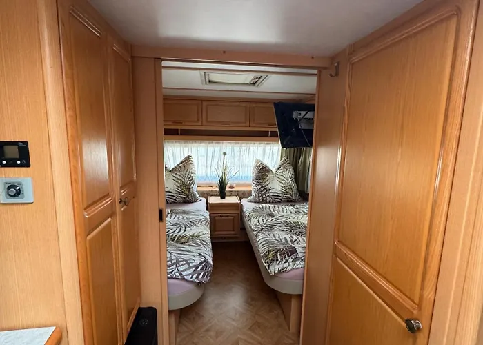 Camping La Pura Vida - Glamping