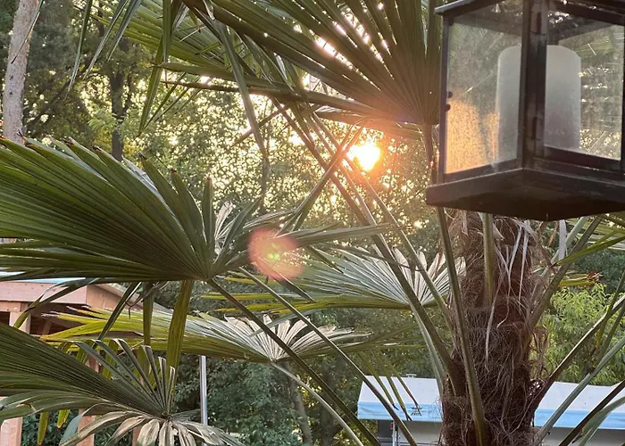 La Pura Vida - Glamping *