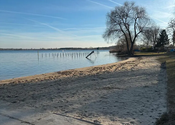 La Pura Vida - Glamping Camping