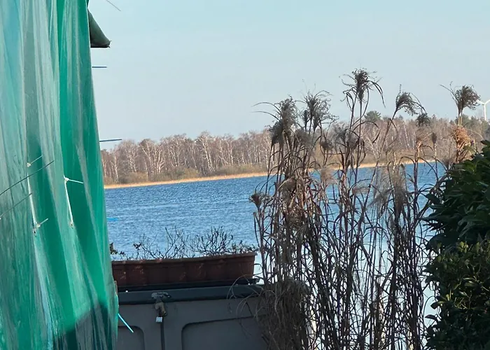 Camping La Pura Vida - Glamping