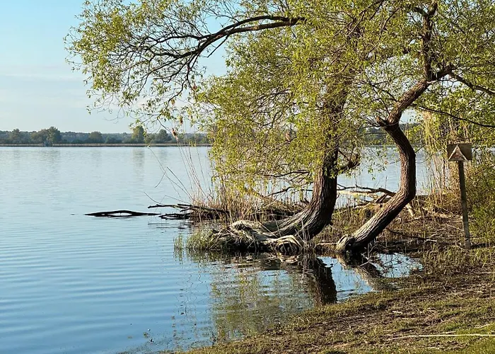 La Pura Vida - Glamping Camping