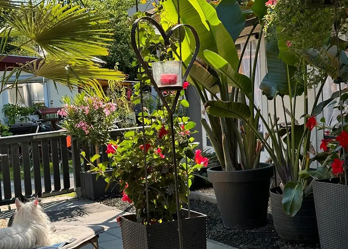 La Pura Vida - Glamping Camping Brandenburg (Brandenburg an der Havel)