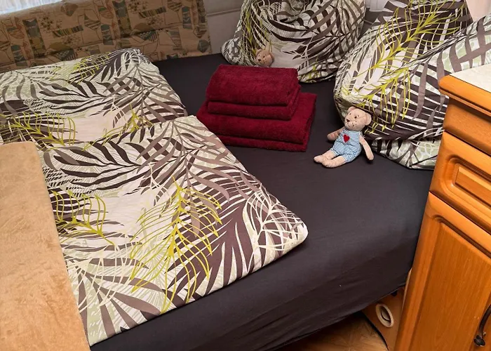 La Pura Vida - Glamping Camping *