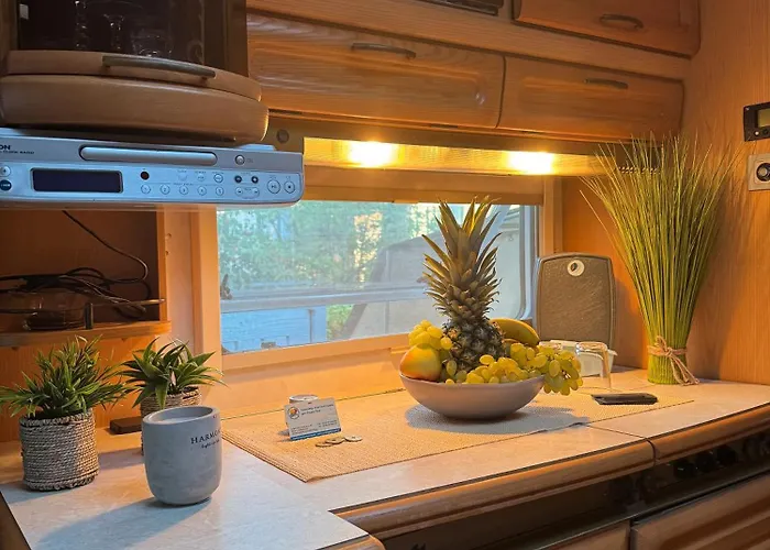 La Pura Vida - Glamping