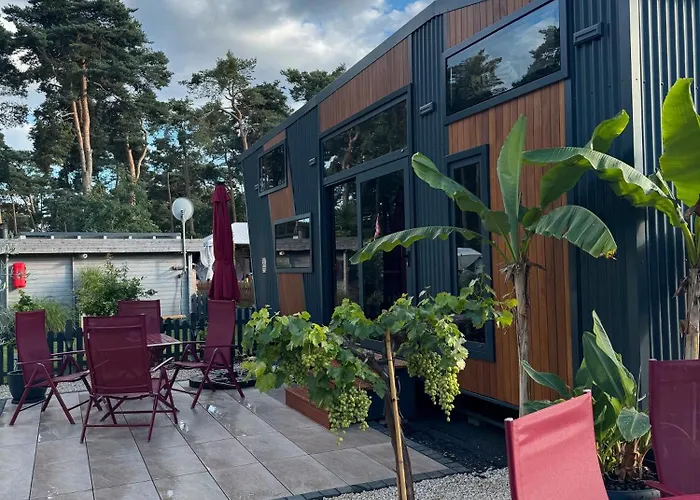 La Pura Vida - Glamping Camping