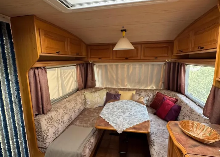 La Pura Vida - Glamping *