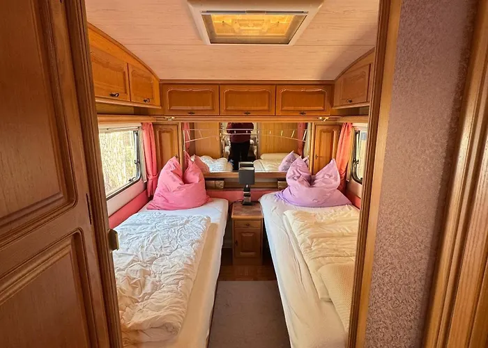 La Pura Vida - Glamping *